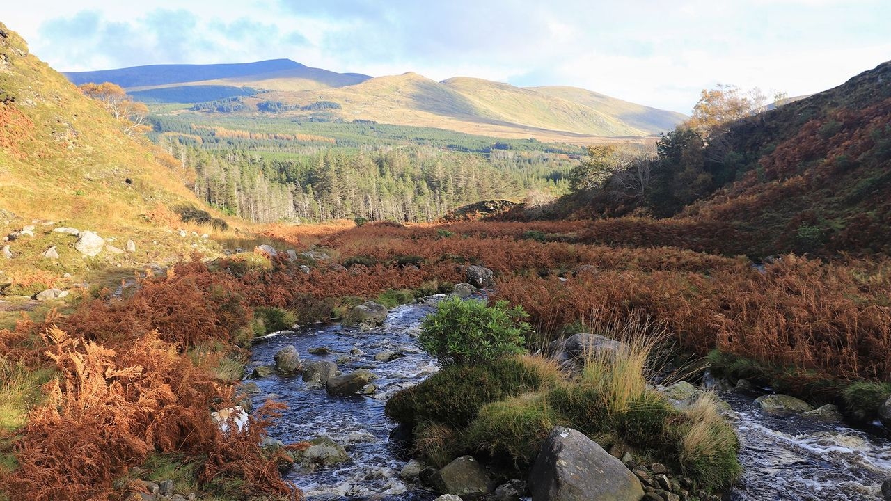 Wild Nephin National Park, Ireland