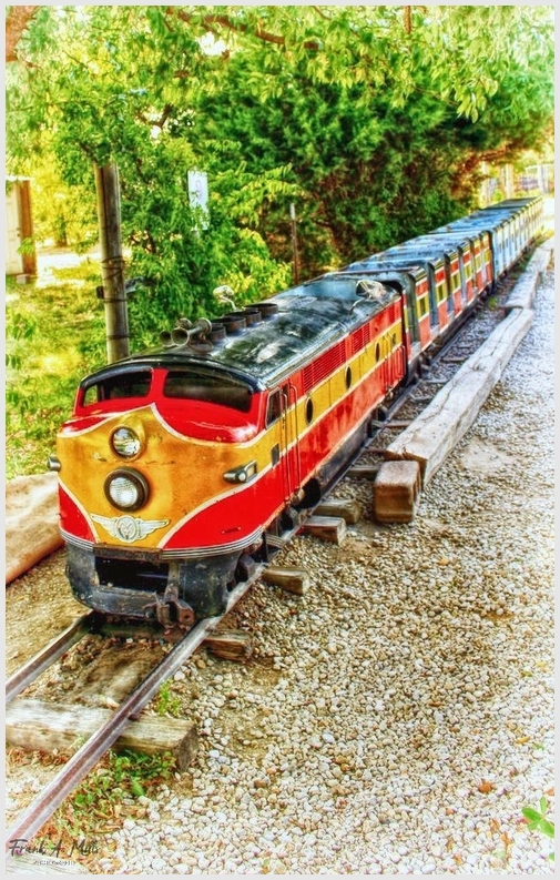 amusement park train