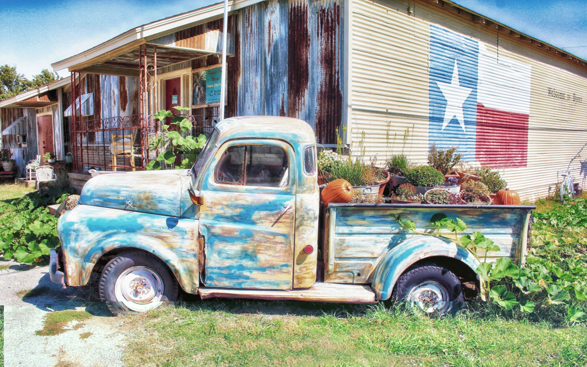 'Mums & Pumpkins'(Dodge Truck, Fall 2019, Byers, Texas)