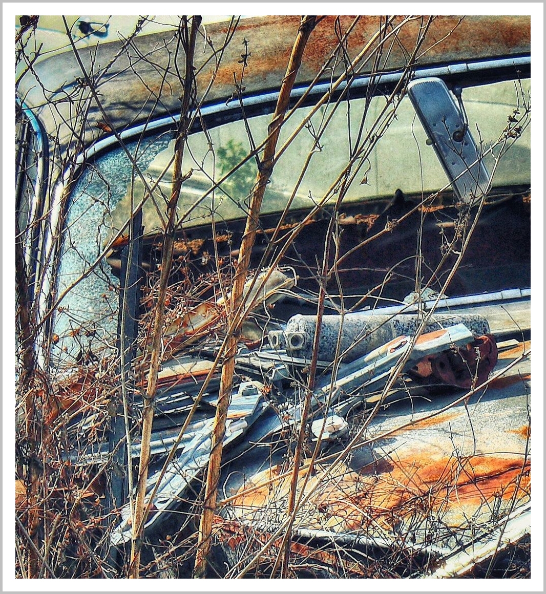 Rush in the bushes, rusty old auto