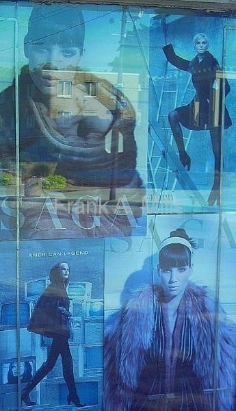 fur advertisements in window