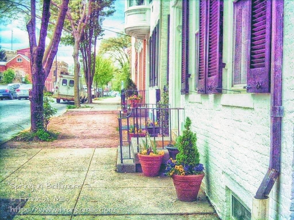 A street in Baltimore in April